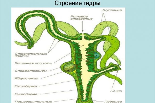 Кракен магазин kr2web in тор